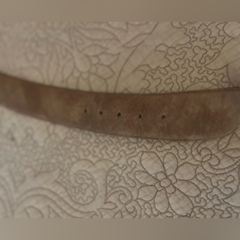 Y2K Big Wide Brown Suede Belt with Gold & Silver Buckle Sueded Pigskin, Size L - Picture 7 of 8